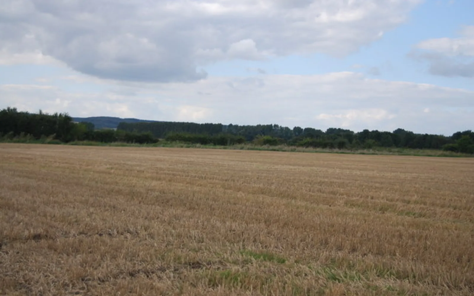A farming landscape with cultivated fields and pastoral scenery